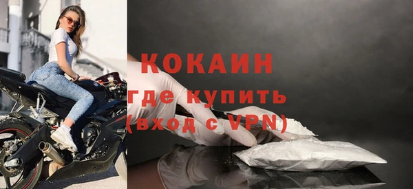 крисы Алзамай