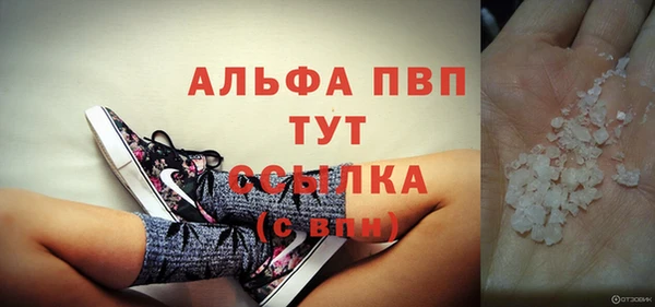 крисы Алзамай