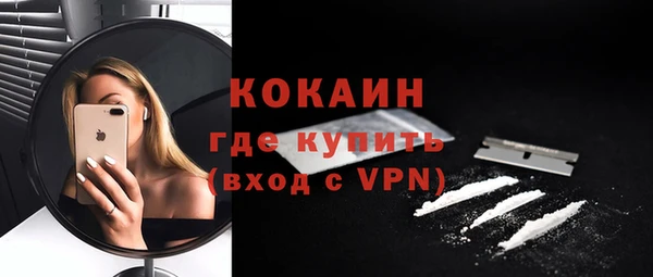 твердый Алексин