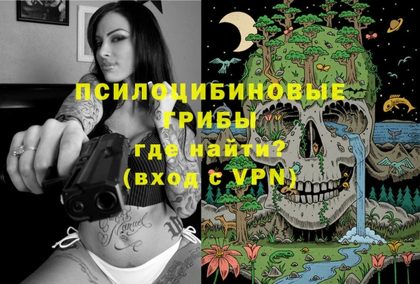 твердый Алексин
