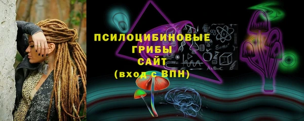 твердый Алексин