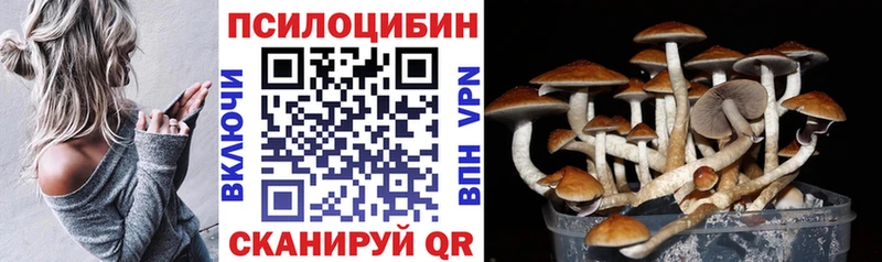 Псилоцибиновые грибы мицелий  Буй 
